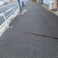 ZieL穴子130ワインレッド