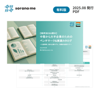 【業界別ESG開示】中堅から大手企業のためのベンチマーク&実践カタログ～先進事例、海外企業モデル、段階的改善ガイド～
