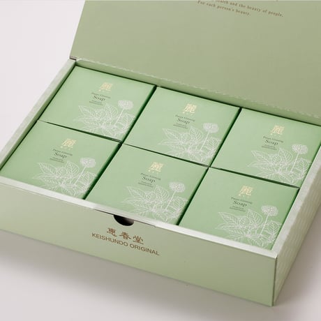 恵春堂せっけん 6個入りギフトセット （100g×6）