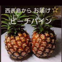 小玉ピーチパイン | 西表島ふる～つらんど