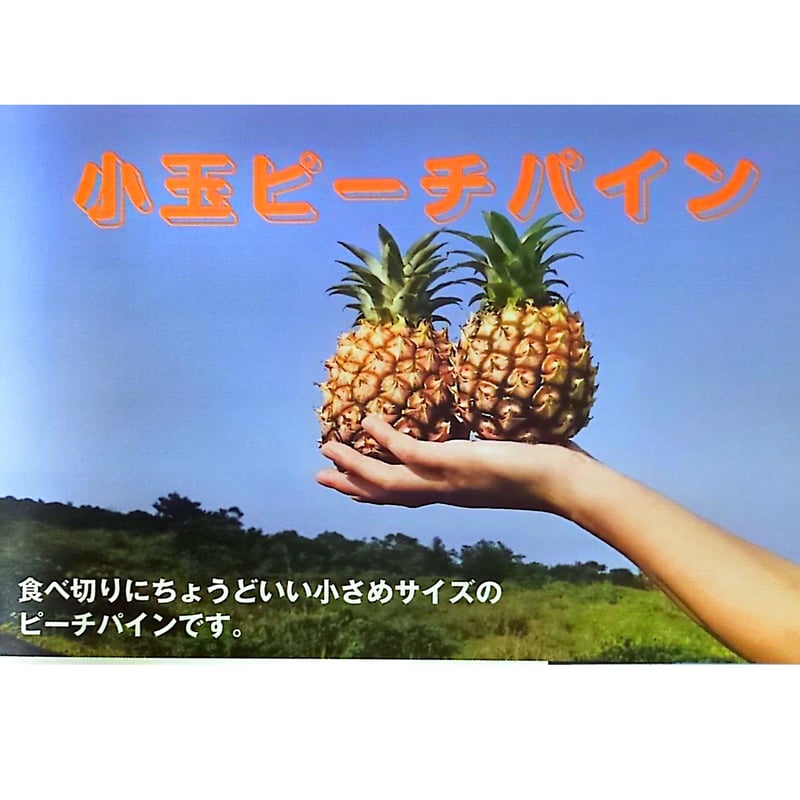 小玉ピーチパイン | 西表島ふる～つらんど