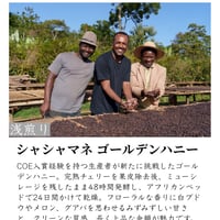 シャシャマネ　ゴールデンハニー