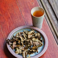 寒茶