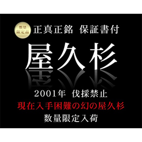 屋久杉 10mm玉 ブレスレット ギャランティーカード付 【数量限定入荷】【保証書】　6280