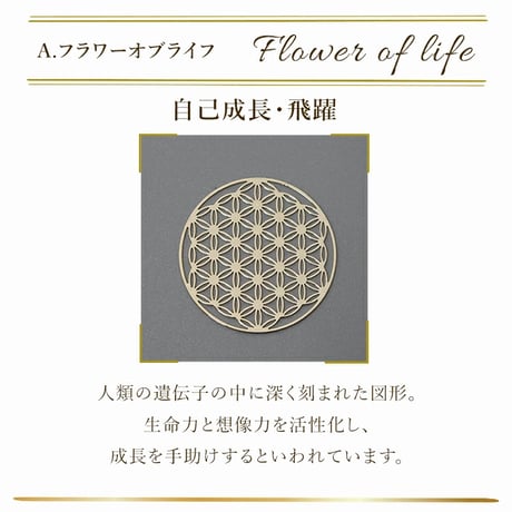 選べる6種類 エナジーカード サイズ：直径約40mm 11952