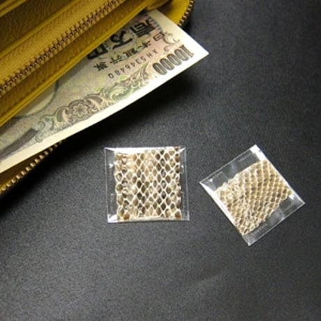 ※単品販売【ポーチ付き】幸運を呼ぶ シマヘビの抜け殻　財運・金運 お財布に入れる金運UPのお守り 抜け皮 【メール便送料無料】　6361