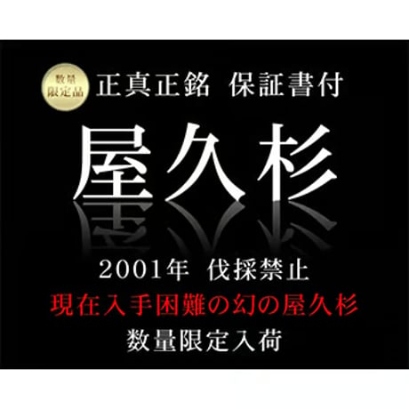 【数量限定入荷】【保証書】屋久杉 龍生九子水晶 ギャランティーカード付 10mm玉 ブレスレット 屋久島 縄文杉 世界遺産　6256