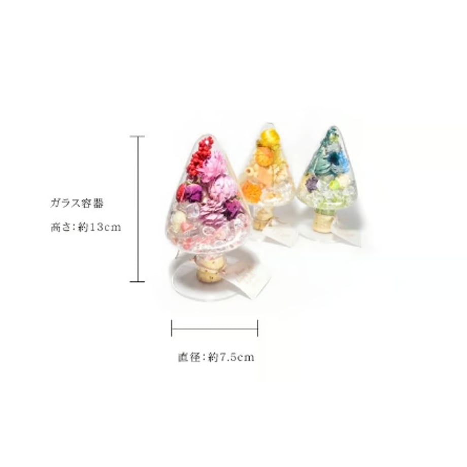 67aefd525c88a2021bd1089e