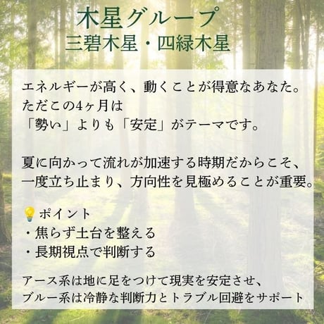 鑑定ブレス 九星気学 鑑定 占い 五行 運勢 2026年6月～2026年9月 パワーストーン ブレスレット ※サイズ調整 15286