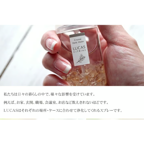 ホワイトセージ 浄化スプレー ルカス LUCAS 20ml セージスプレー 天然成分100% 幸運 お守り 【メール便送料無料】fo10349