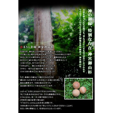 5種類から選べる 御山杉 ブレスレット 　【保証書のコピー付き】 伊勢神宮 神宮御山杉太珠 極  8338