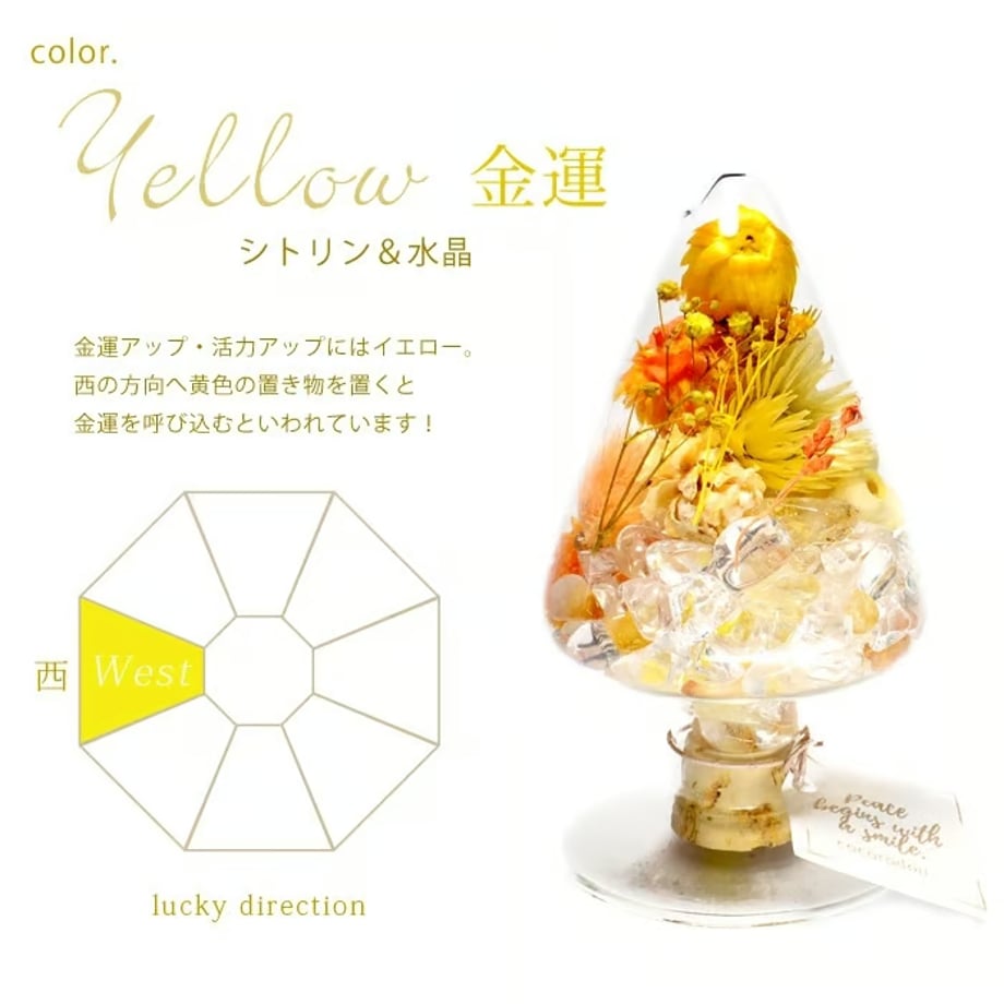 67aefd525c88a2021bd1089e