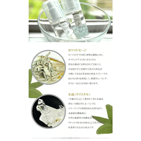 ホワイトセージ 浄化スプレー ルカス LUCAS 20ml セージスプレー 天然成分100% 幸運 お守り 【メール便送料無料】fo10349