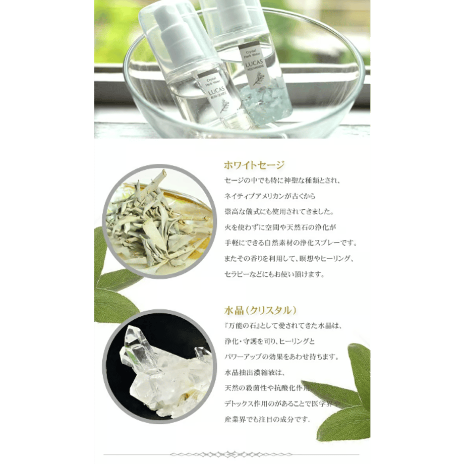 67ce9b866f1dc90046b1a55a