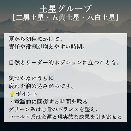 鑑定ブレス 九星気学 鑑定 占い 五行 運勢 2026年6月～2026年9月 パワーストーン ブレスレット ※サイズ調整 15286