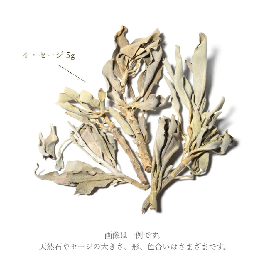 67ecd7146857f8004854138c