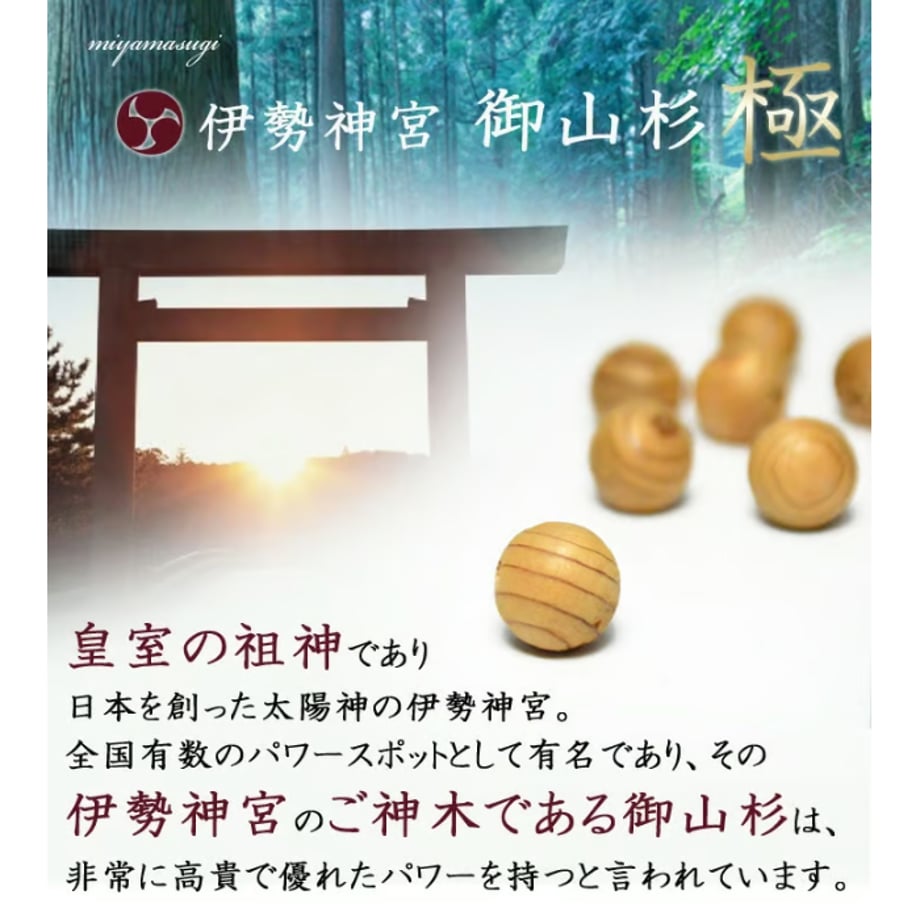 67e21842d3c2c930fc94e5e3
