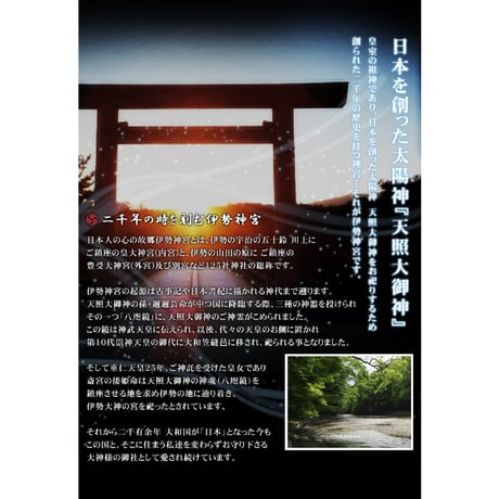 5種類から選べる 御山杉 ブレスレット 　【保証書のコピー付き】 伊勢神宮 神宮御山杉太珠 極  8338