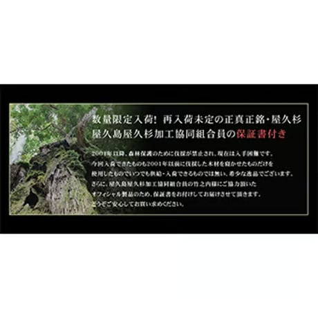 【数量限定入荷】【保証書】屋久杉 龍生九子水晶 ギャランティーカード付 10mm玉 ブレスレット 屋久島 縄文杉 世界遺産　6256