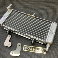 暑すぎて再販　NSRミニ加工ビッグラジエーター