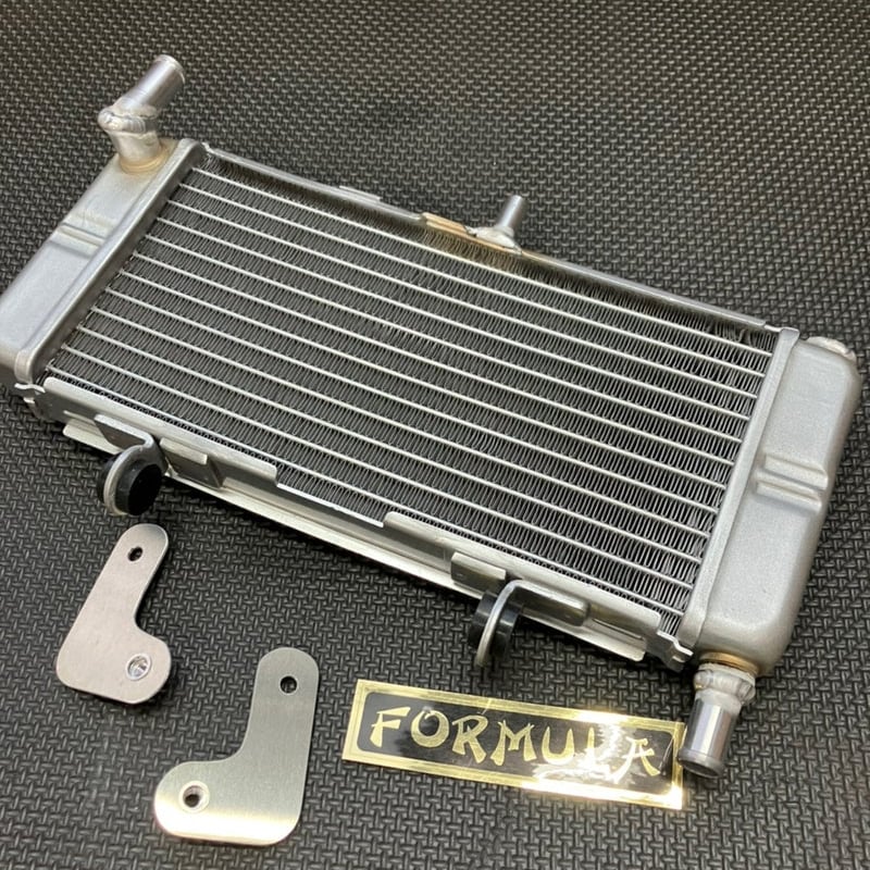 暑すぎて再販 NSRミニ加工ビッグラジエーター | M7プロジェクト