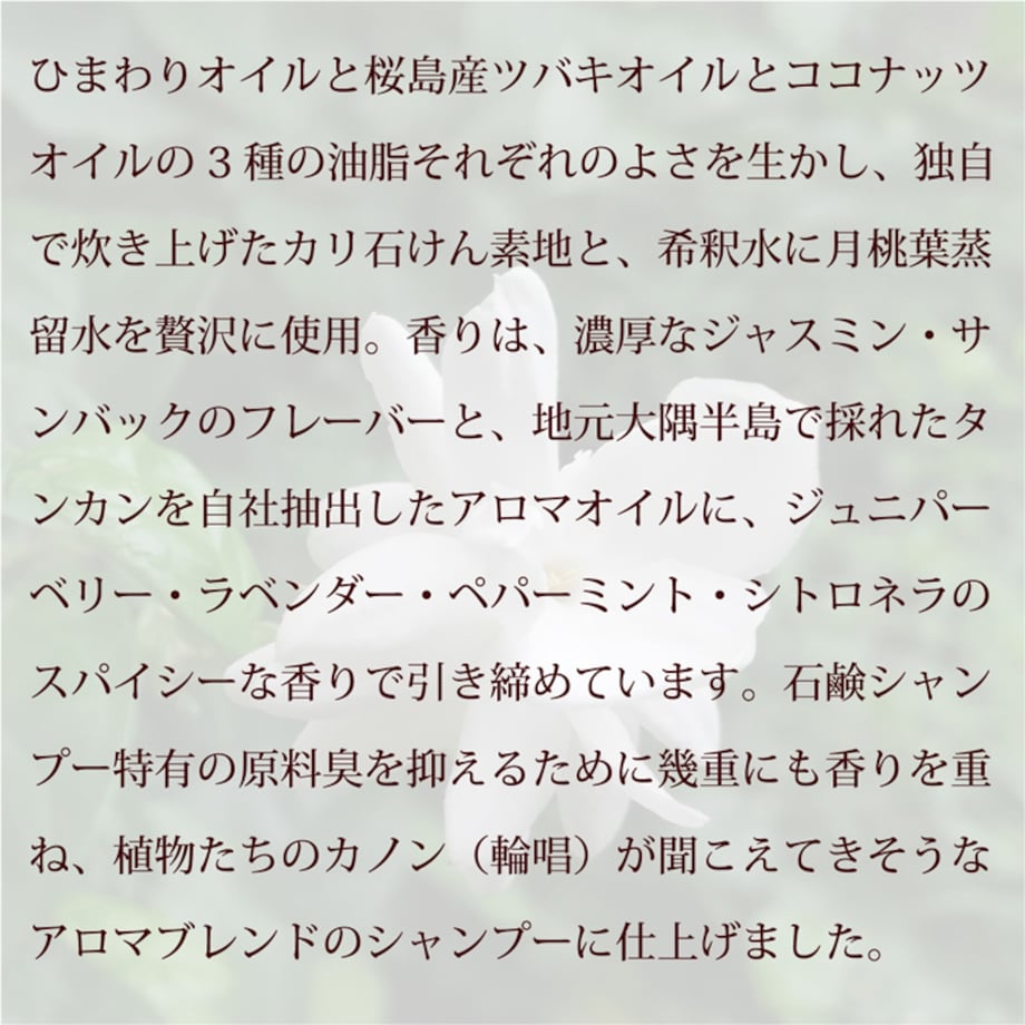 67b03d125d2d4e1b5bc01050