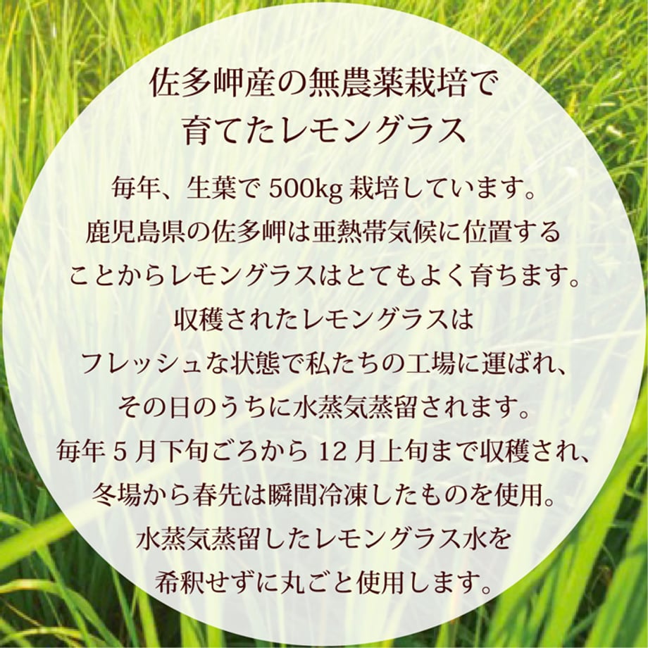 67b077ba7e6f3514c98d5a65
