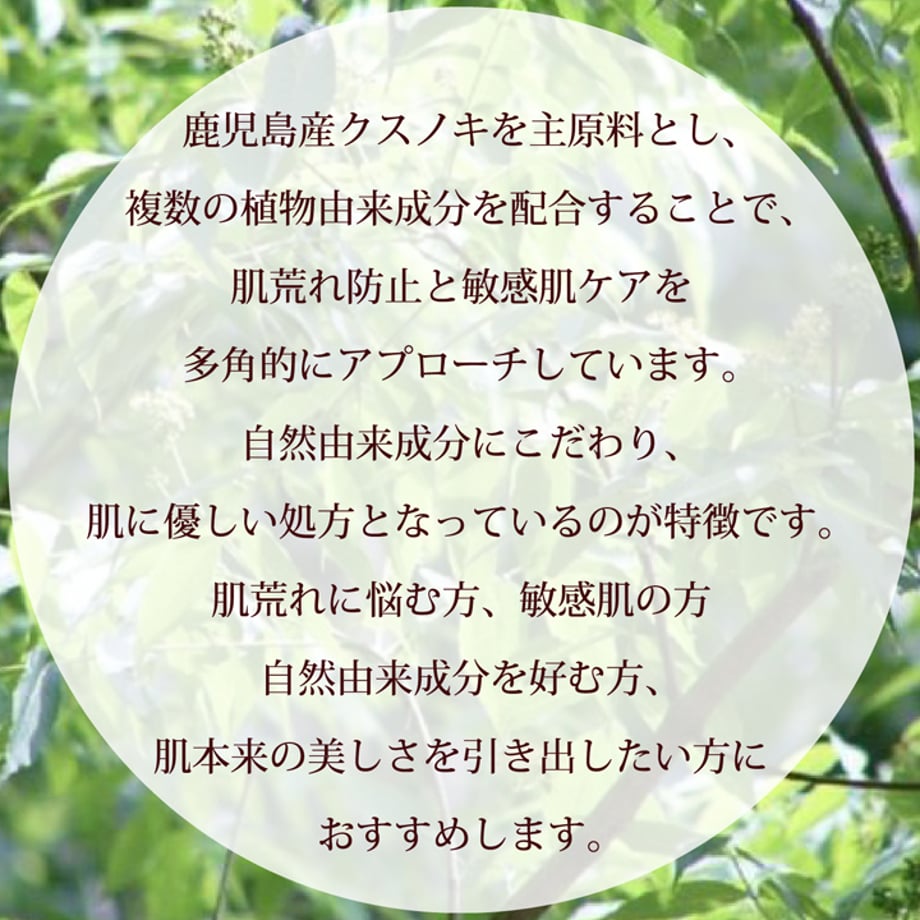 67af396e40ad5c07324a723f
