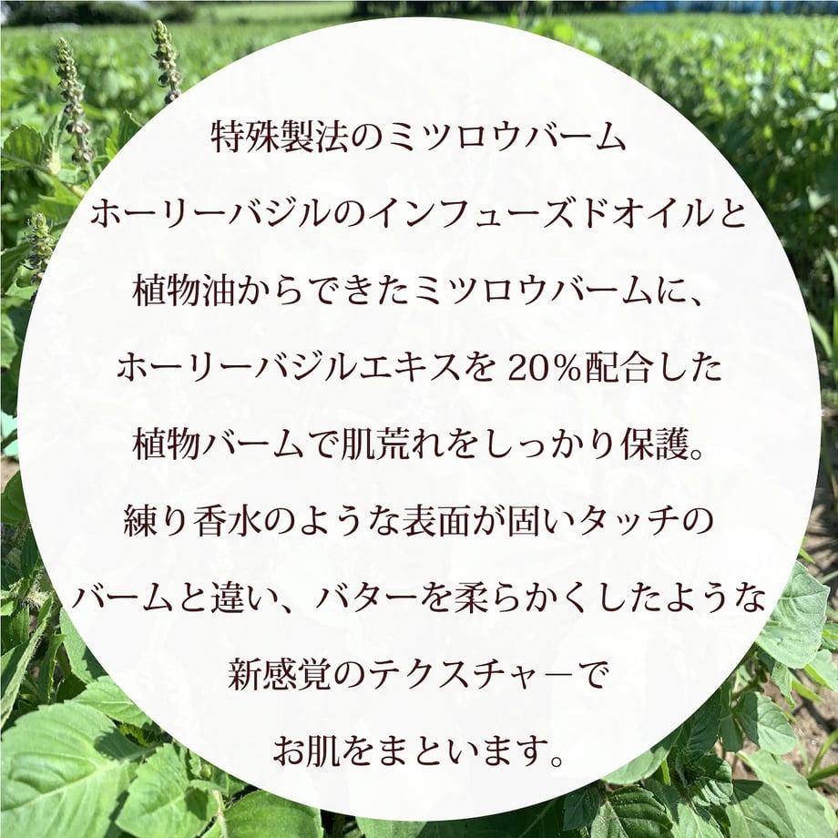 67b036019d7c8c04d3f5ae2c