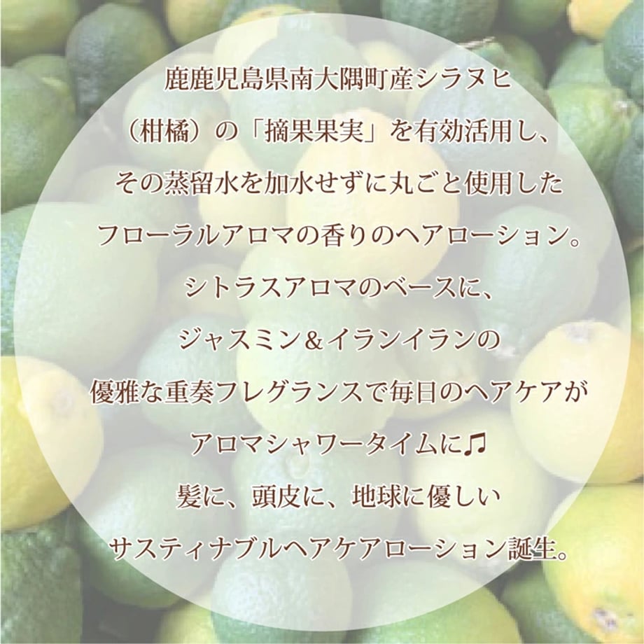 67b07bc2243a754045dc193a