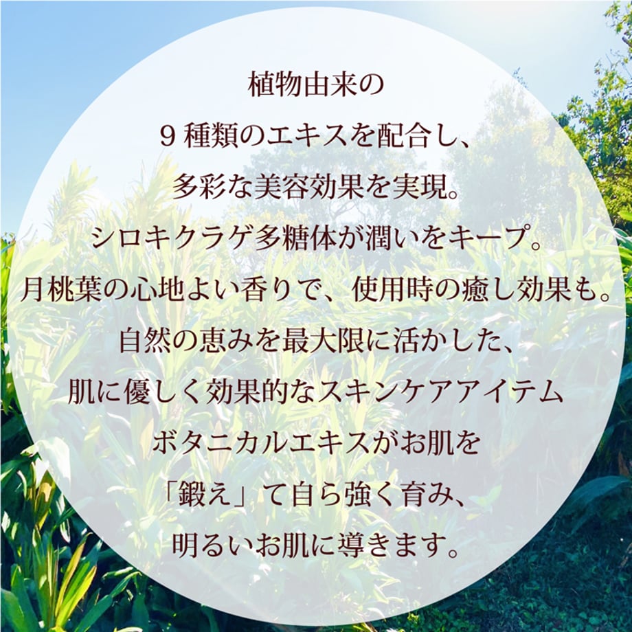 67af369c59de6b06d21af45a