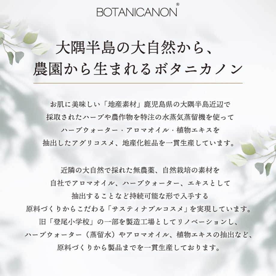67b077ba7e6f3514c98d5a65
