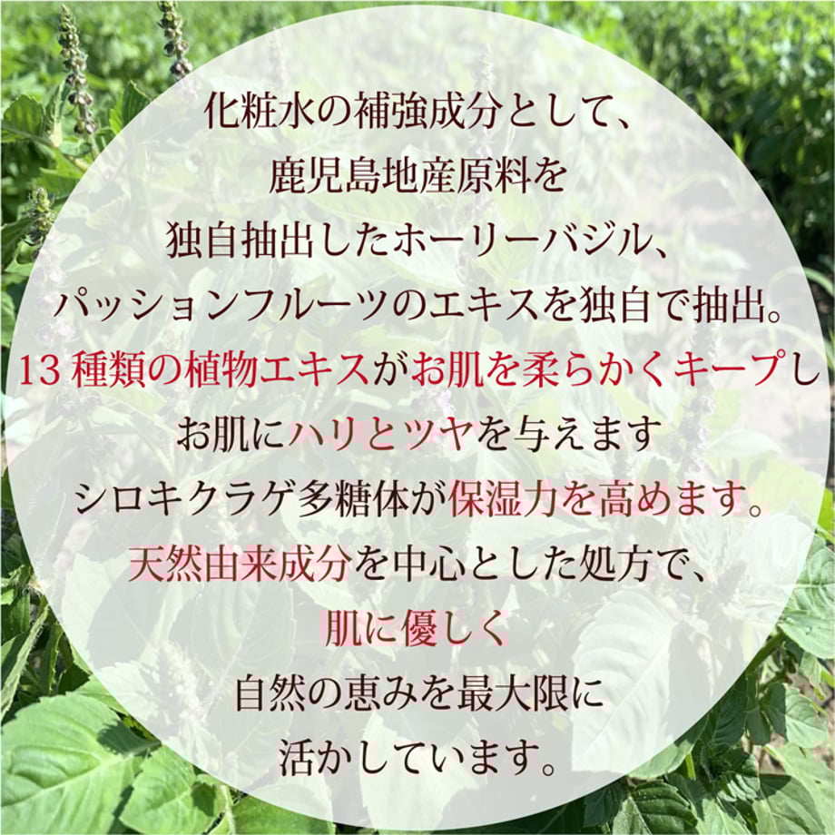 67af3104243a7505b7dc1459