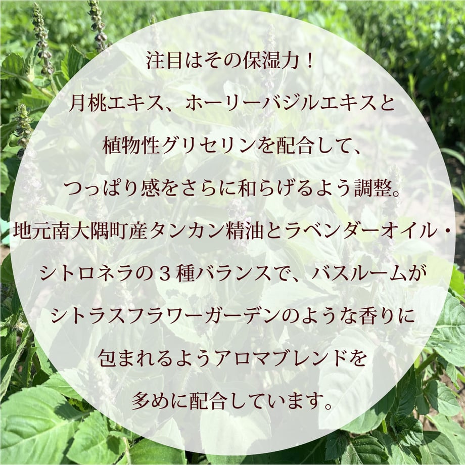 67b03a8681527018142a050c