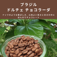 ブラジル ドルチェチョコラーダ