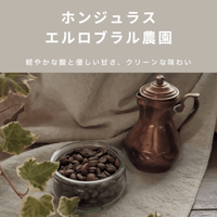 ホンジュラス エルロブラル農園