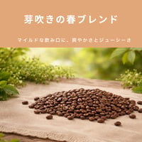 芽吹きの春ブレンド（当店オリジナル）