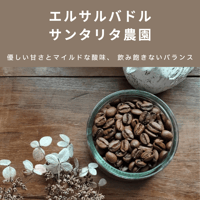 エルサルバドル サンタリタ農園