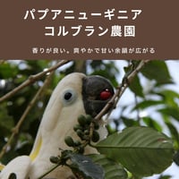 パプアニューギニア　コルブラン農園