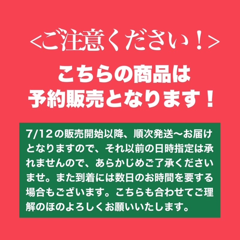 先行予約割引】AMIGO DE BAKA ~Mexican Lager w/Lime~ 【3