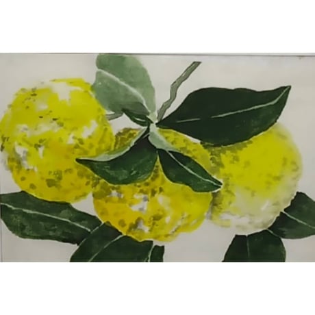 色ごとに学ぶ彩りの墨彩画基本レッスン