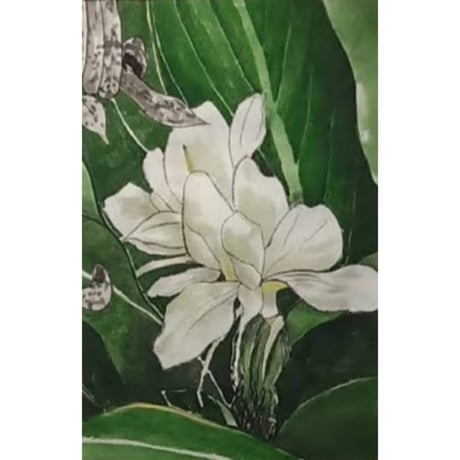 色ごとに学ぶ彩りの墨彩画基本レッスン