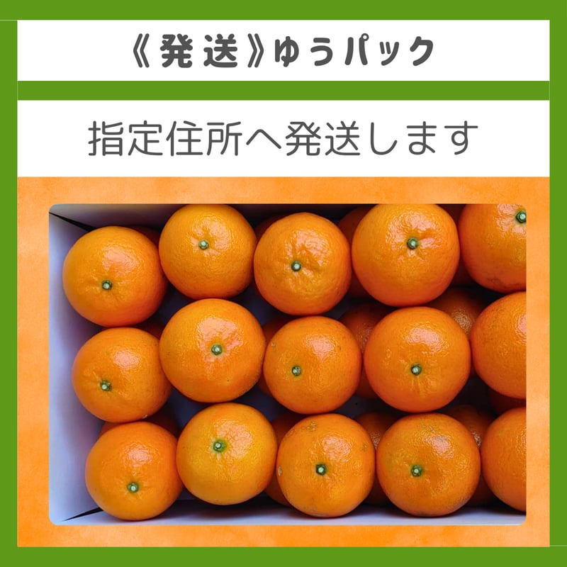 屋久島たんかん/いわかわ果樹園