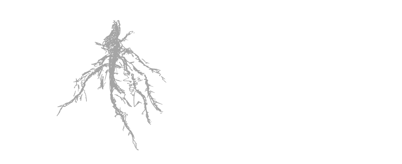 Green&Red racine online