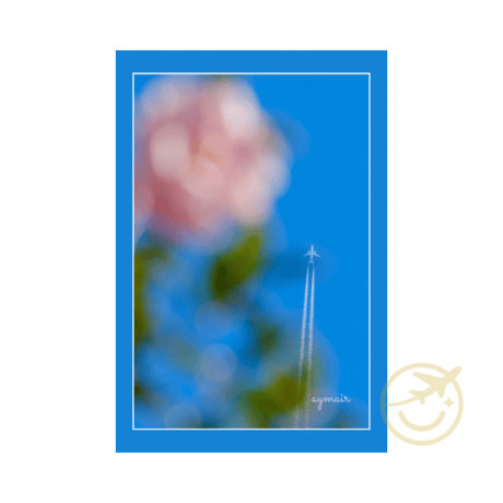 🌸椿とヒコーキ雲 ― 幸運を呼ぶポストカード✈️