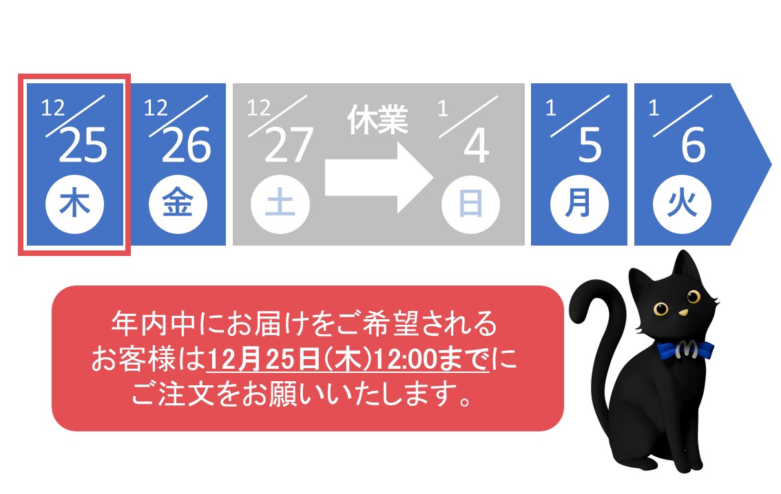 The Mystery ミステリチャンネル クイズ 当選品 半袖 Tシャツ The Mystery ミステリチャンネル クイズ 当選品 半袖 Tシャツ