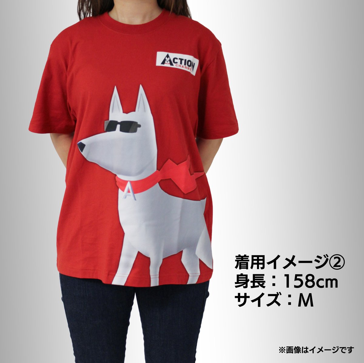 アクションチャンネルオリジナルTシャツ（M/Lサイズ） | ミステリー