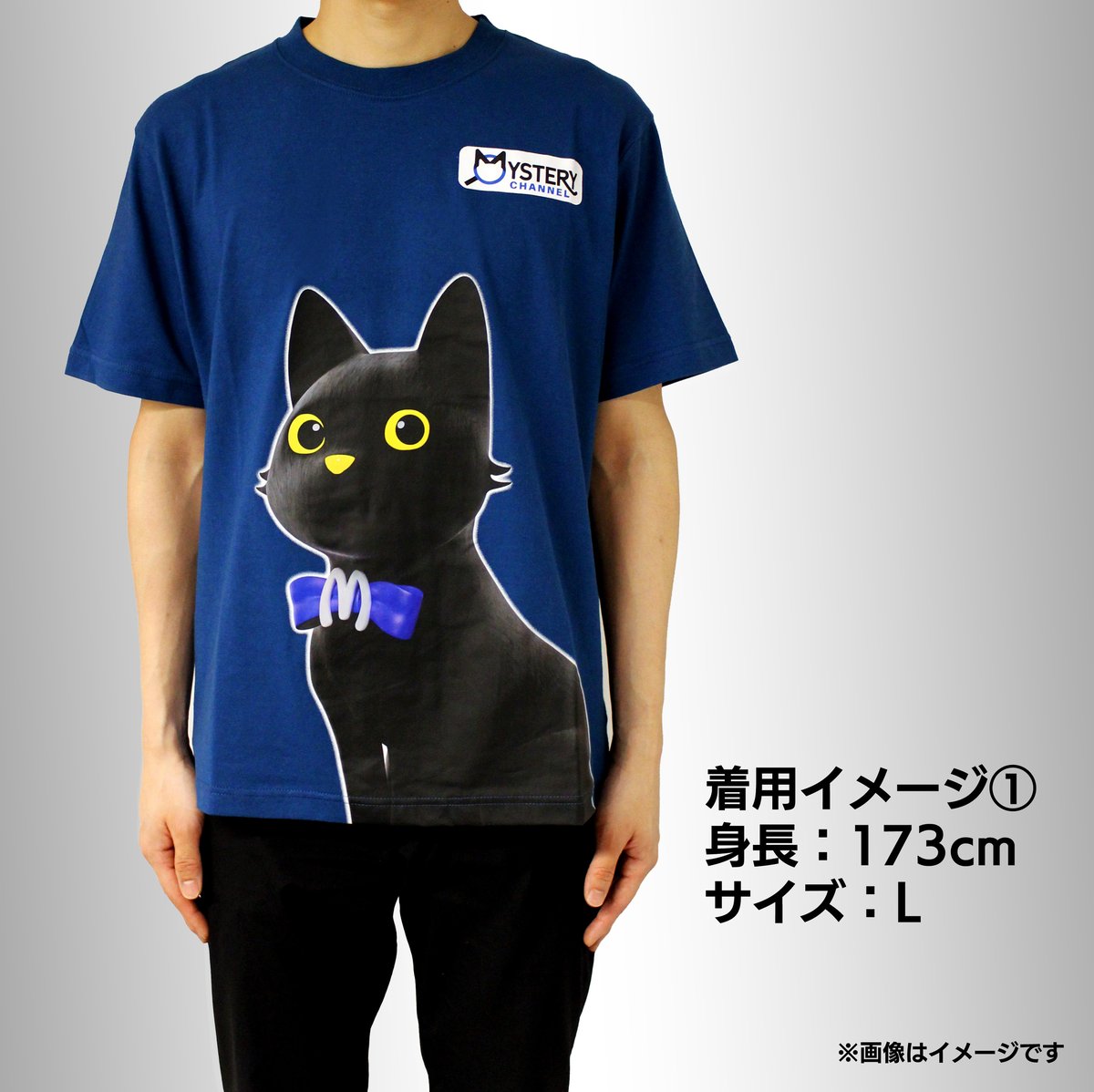 The Mystery ミステリチャンネル クイズ 当選品 半袖 Tシャツ ミステリーチャンネルオリジナルTシャツ（M/Lサイズ