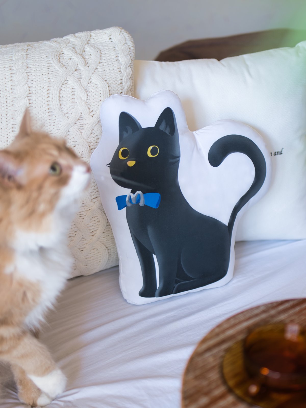 ミステリーチャンネルオリジナルぬいぐるみクッション | ミステリー