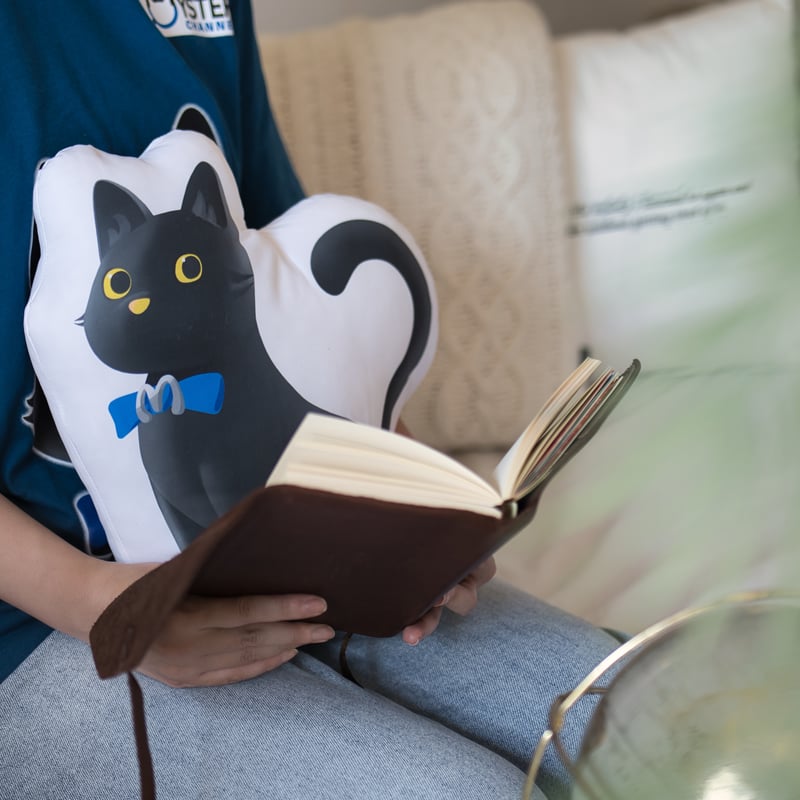 ミステリーチャンネルオリジナルぬいぐるみクッション | ミステリー